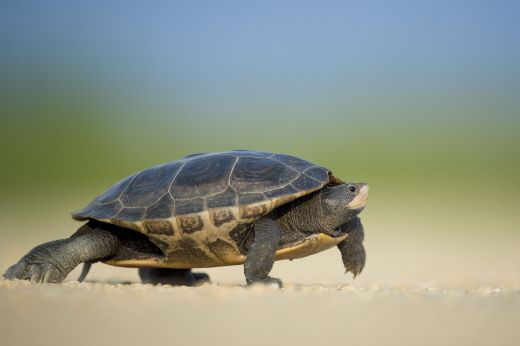 what to do when business is slow